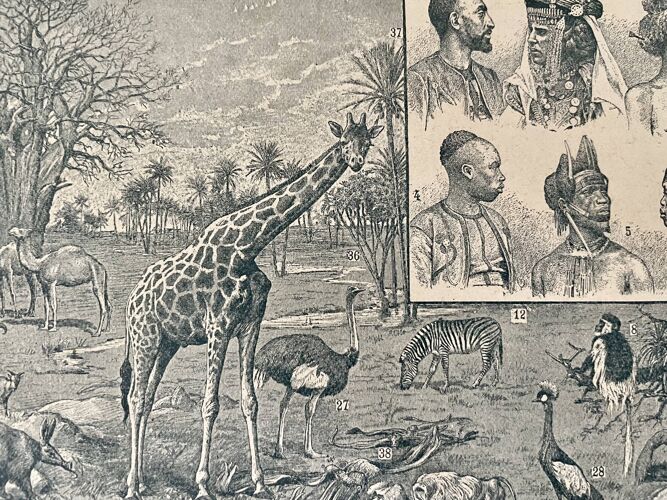 Lithographie sur l'Afrique de 1922