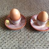 Series of 2 cockroats