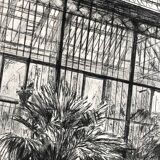 Nicole Bouharmont, Serres et jardin des plantes. pointe sèche signée au crayon