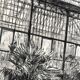 Nicole BOUHARMONT, Greenhouses and Botanical Gardens. Drypoint signed in chalk