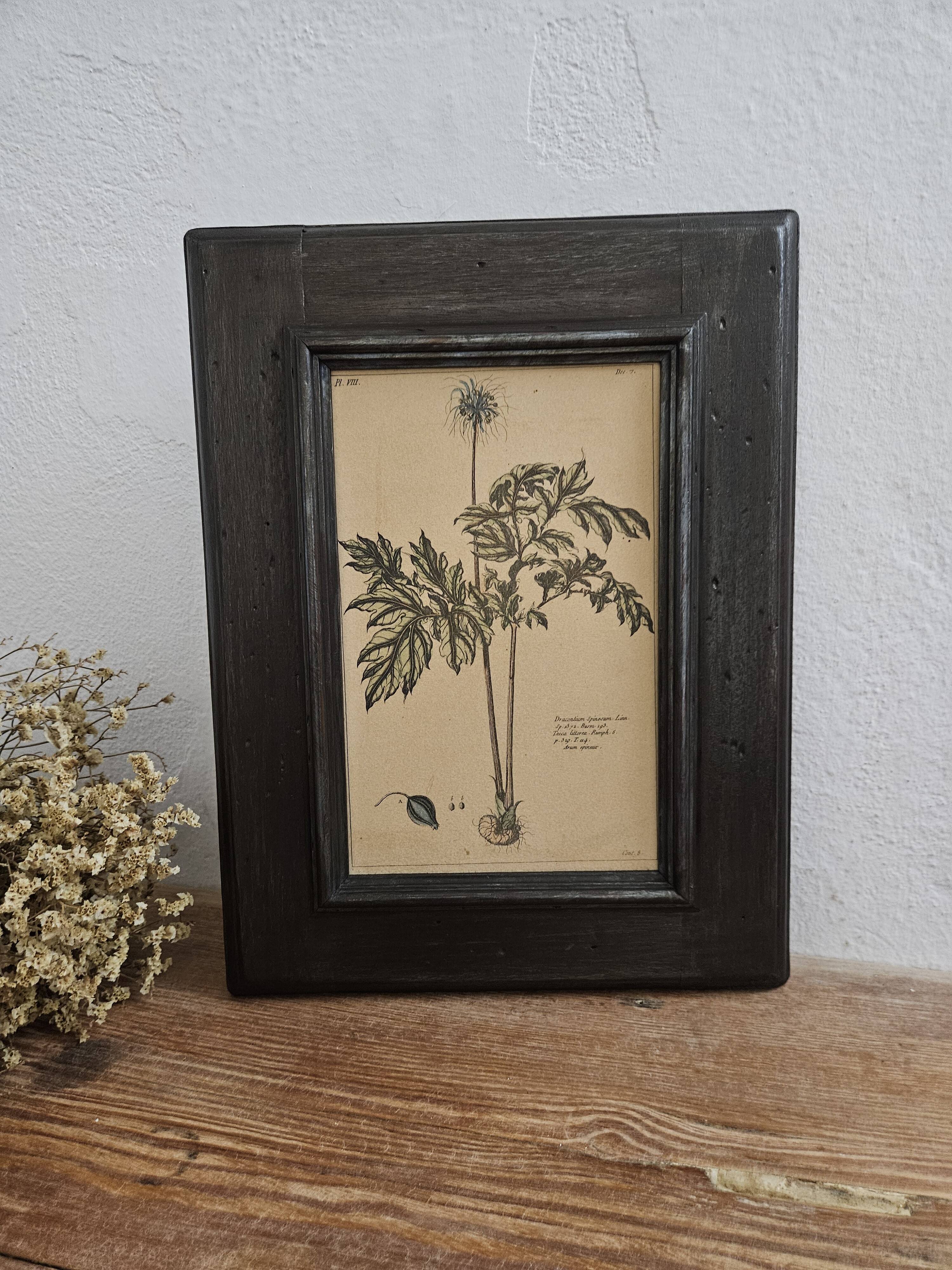 Framed botanical board frame
