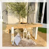 White and gold establishment