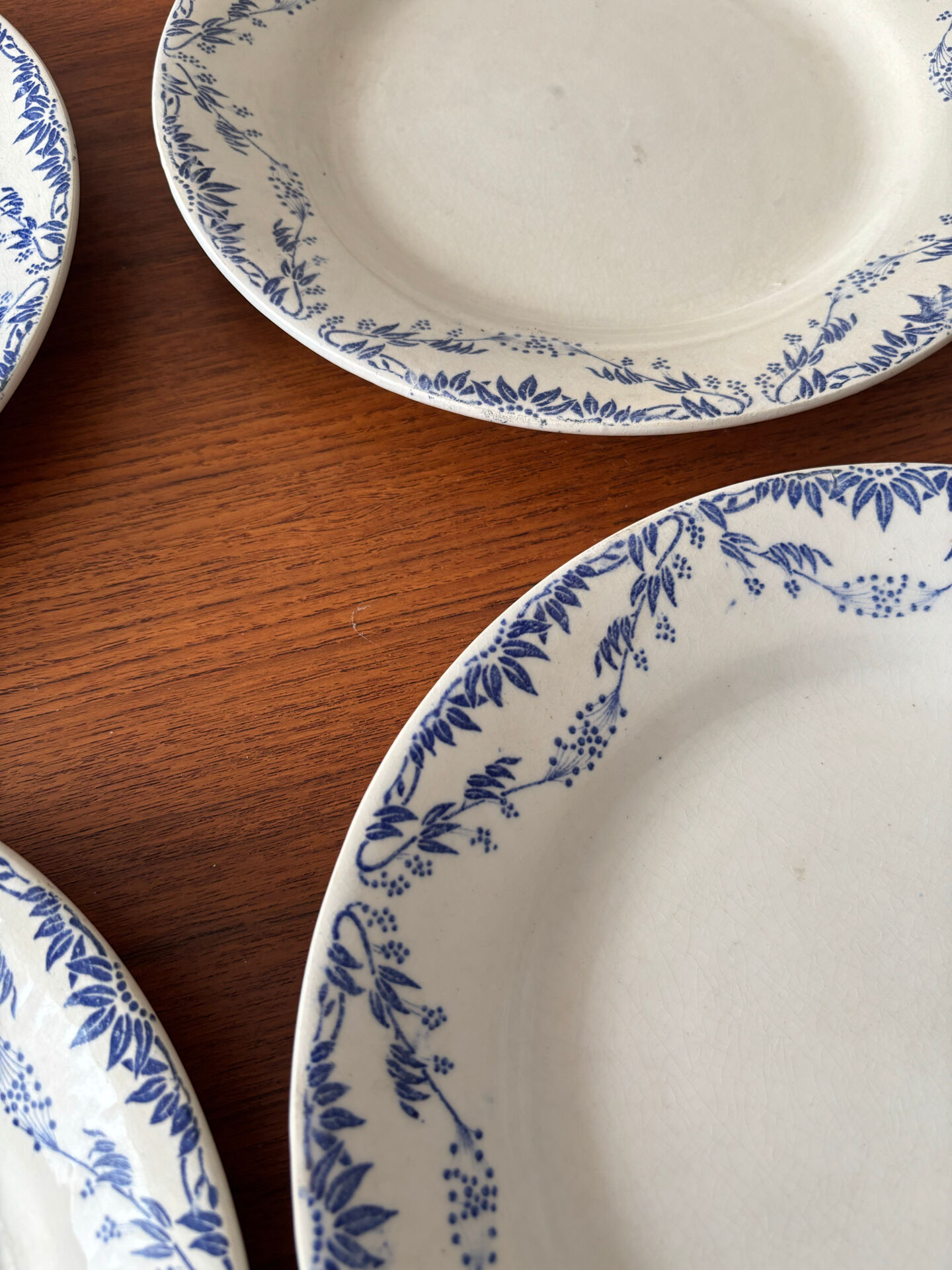 Service of 4 flat plates earthenware Creil and Montereau labrador – Mo