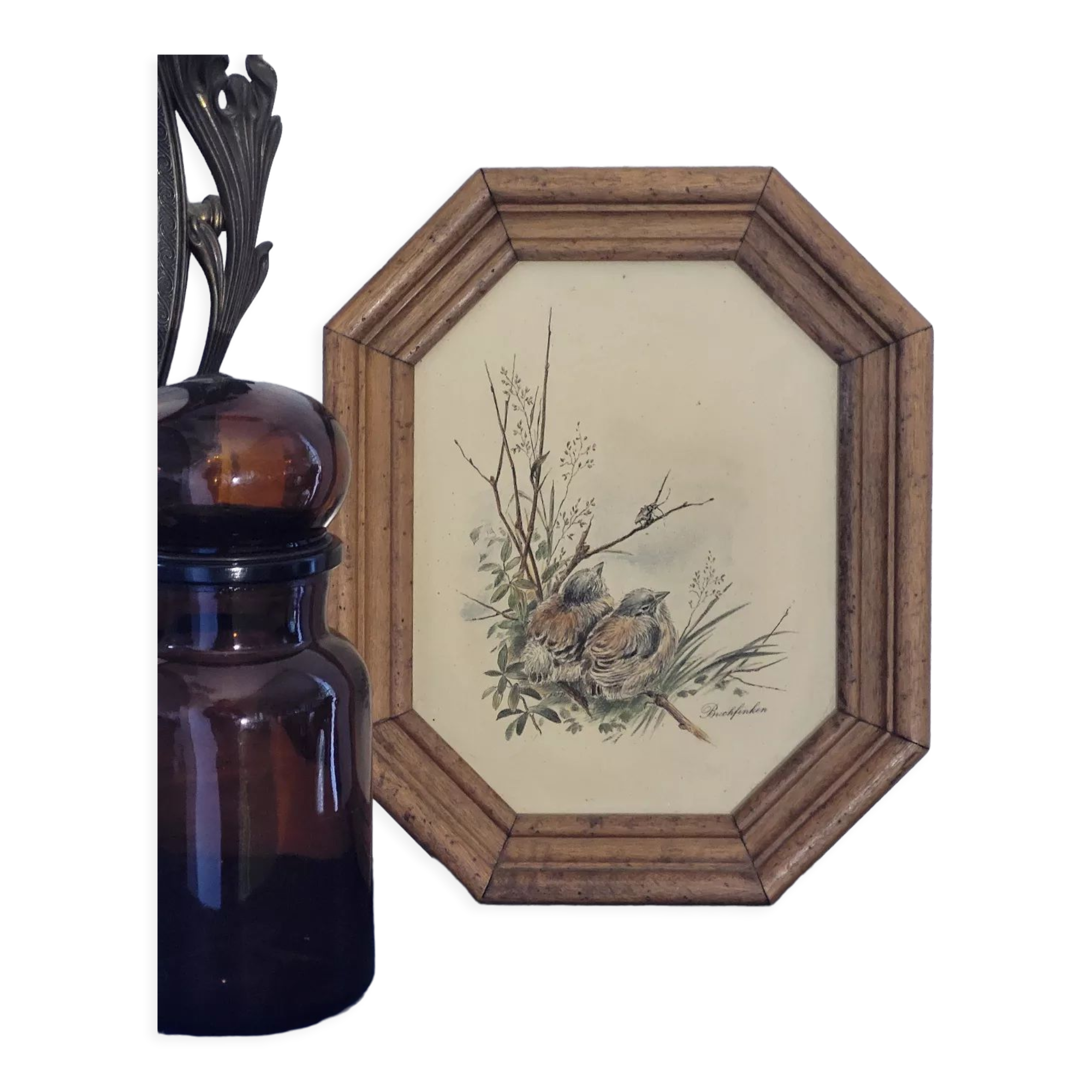 Illustration oiseaux vintage sur panneau
