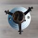 Pair of Art Nouveau 1900 frosted glass ceiling lights and their base