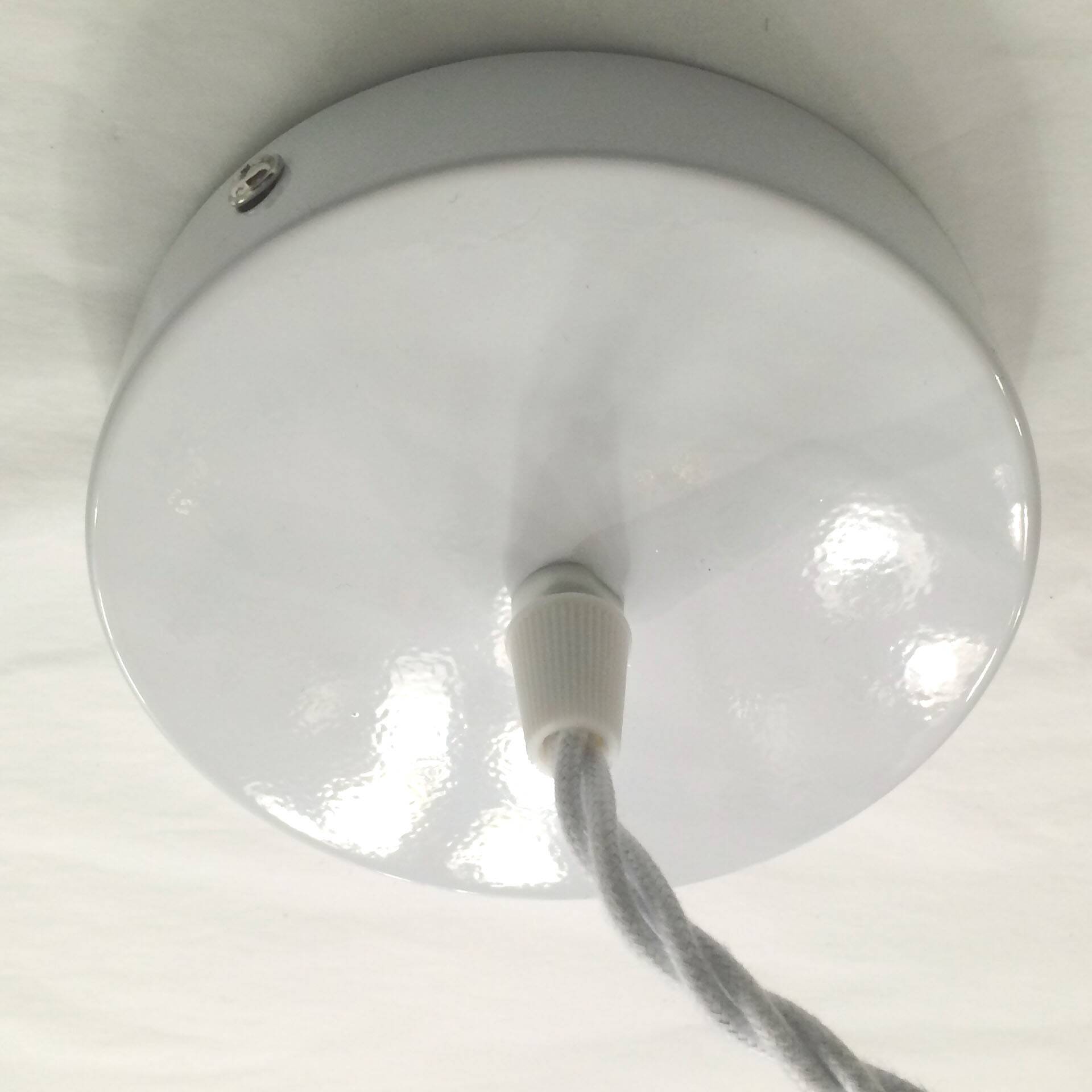 Capiz shell pendant light with flowers
