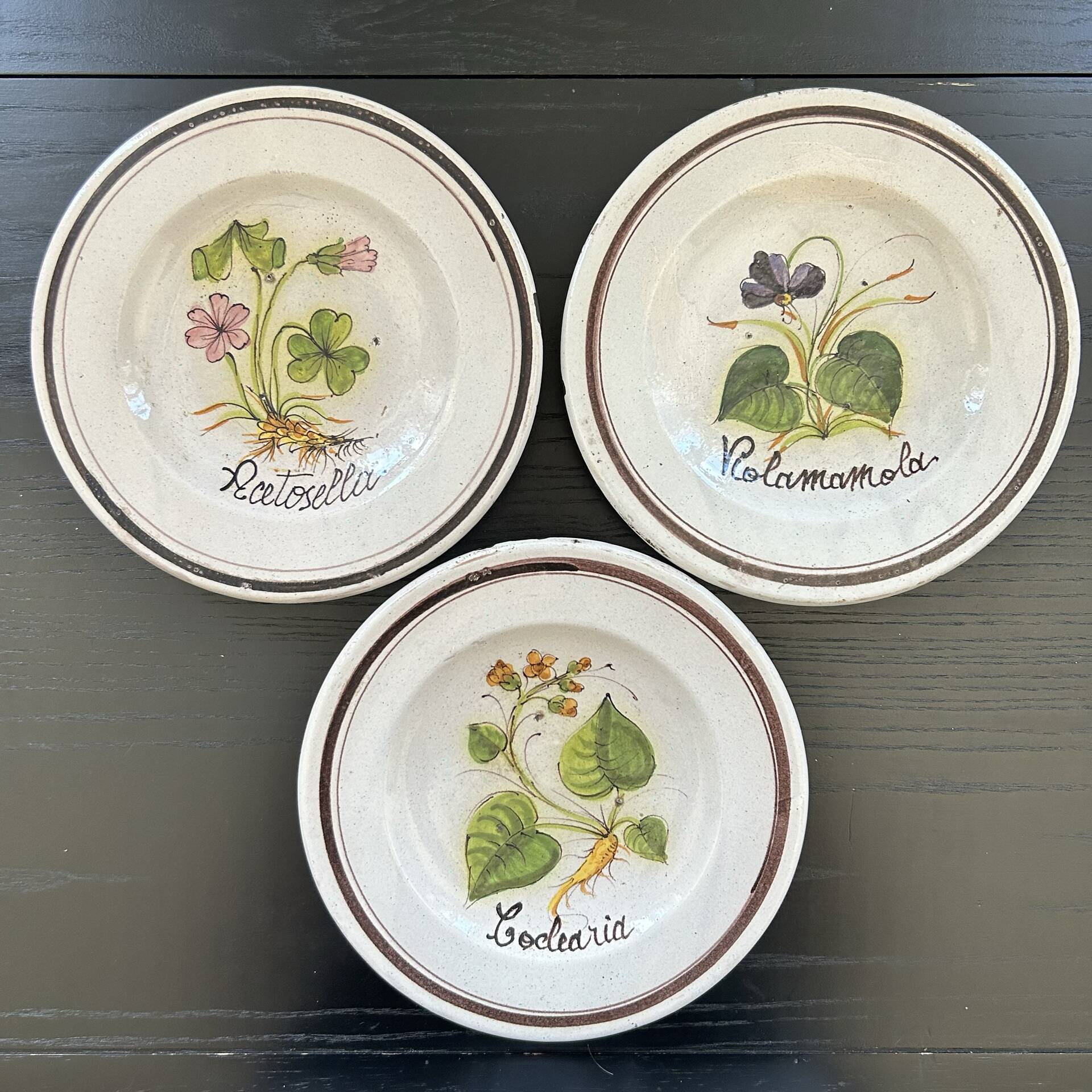 Collection of 3 botanical dishes made in Italy.