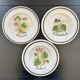 Collection of 3 botanical dishes made in Italy.