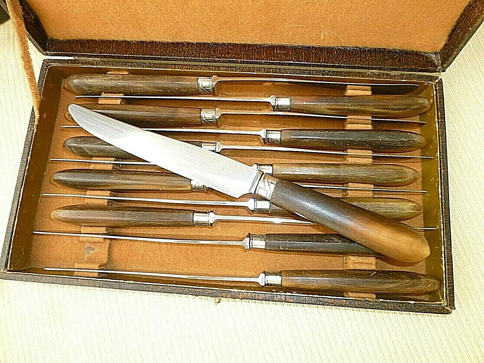 Coffret de 12 jolis couteaux de table Apollonox Corne Bovine et Inox