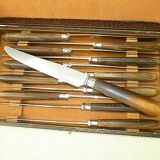 Set of 12 pretty Apollonox Horn bovine and stainless steel table knives
