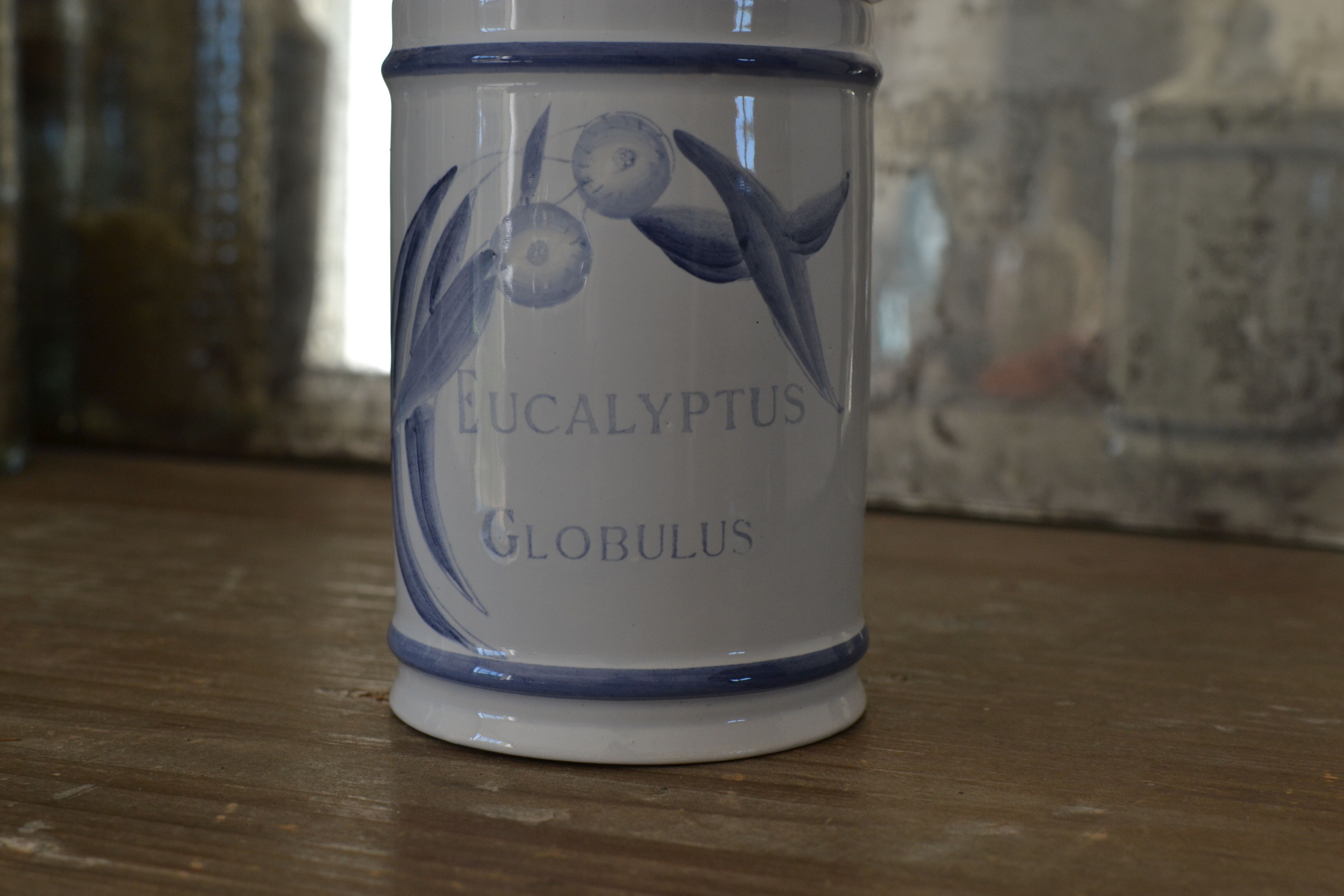 Old pharmacy pot eucalyptus globulus longchamp