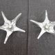 DAUM France pair of crystal candlesticks "Starfish" large model, 1960/1970