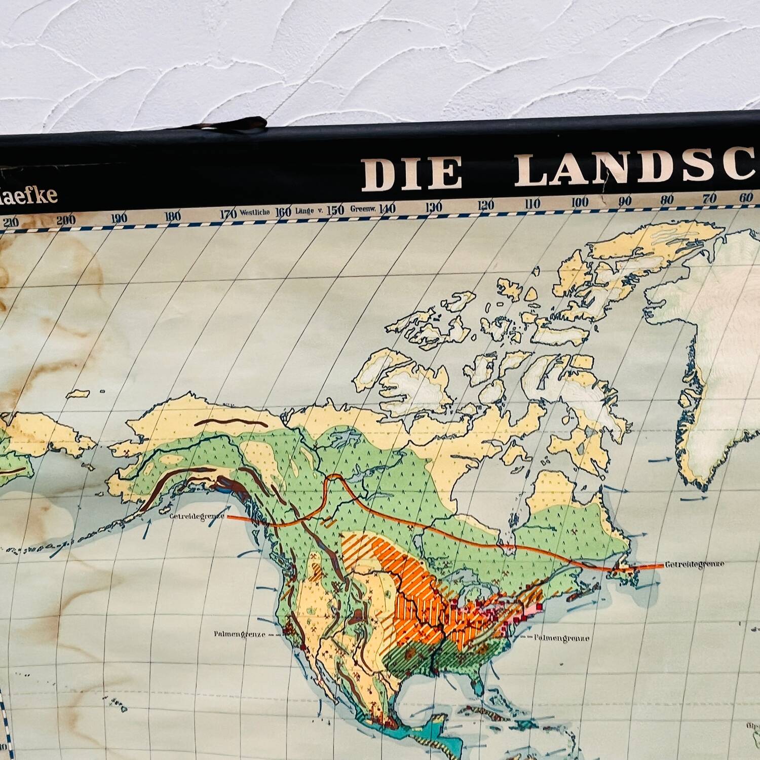 Educational map “the types of landscapes of the earth”