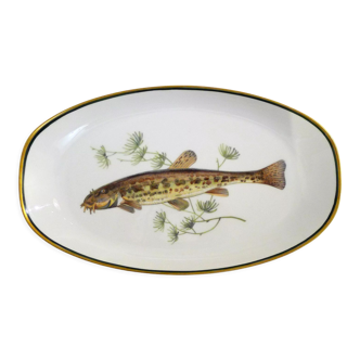Dish Porcelain fish