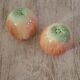 Apple salt and pepper shakers