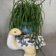 Support de plante en céramique vintage en forme de tortue