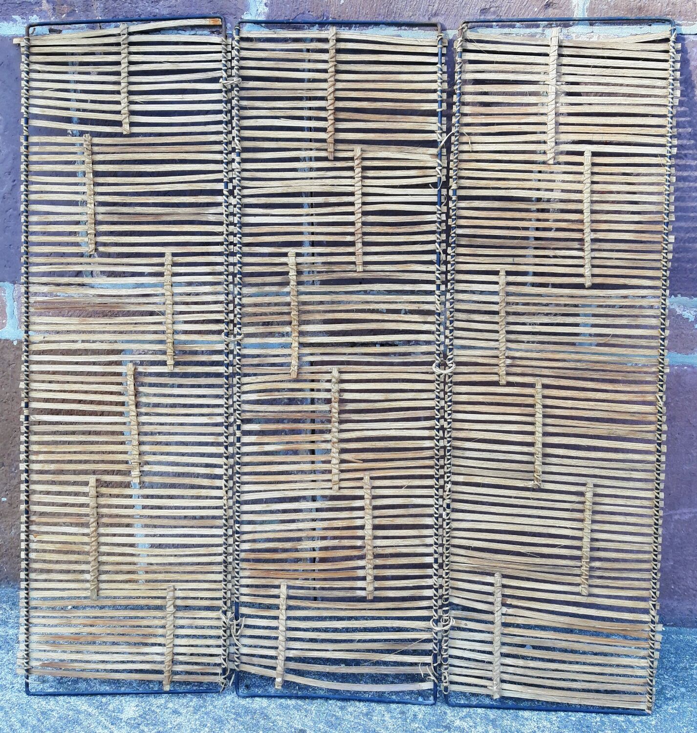Bamboo screen year 60
