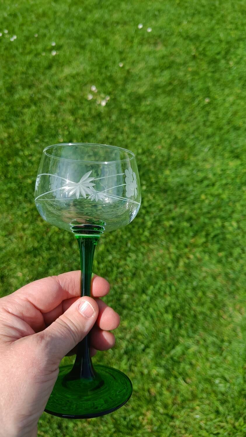 Antique engraved glasses from Alsace