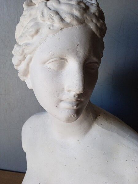 Large flat bust of Venus