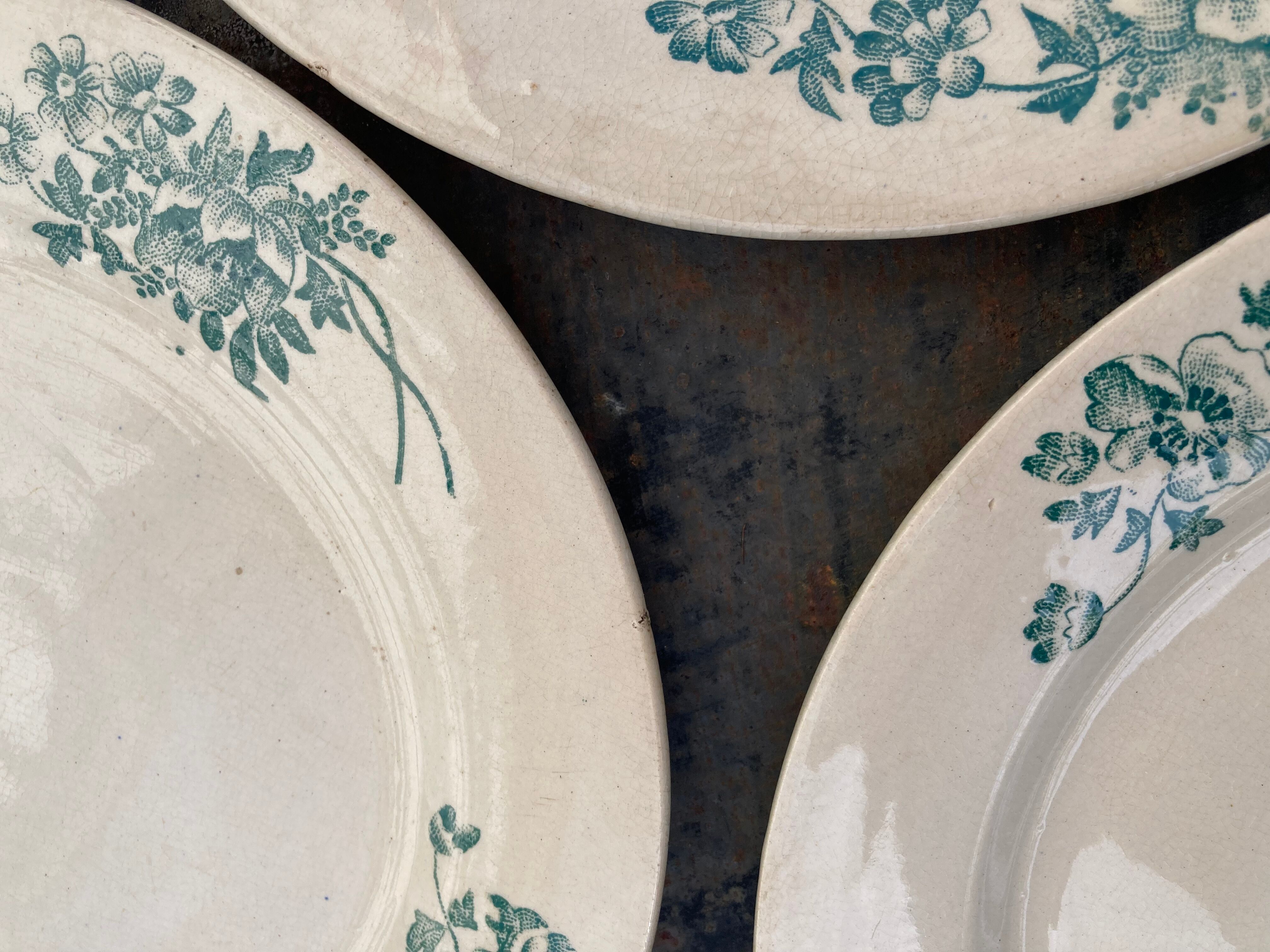 6 Flat plates iron earth by Bertrand Bordeaux / model Anémones