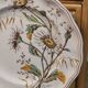 Longchamp plate