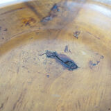 Brutalist solid wood dish