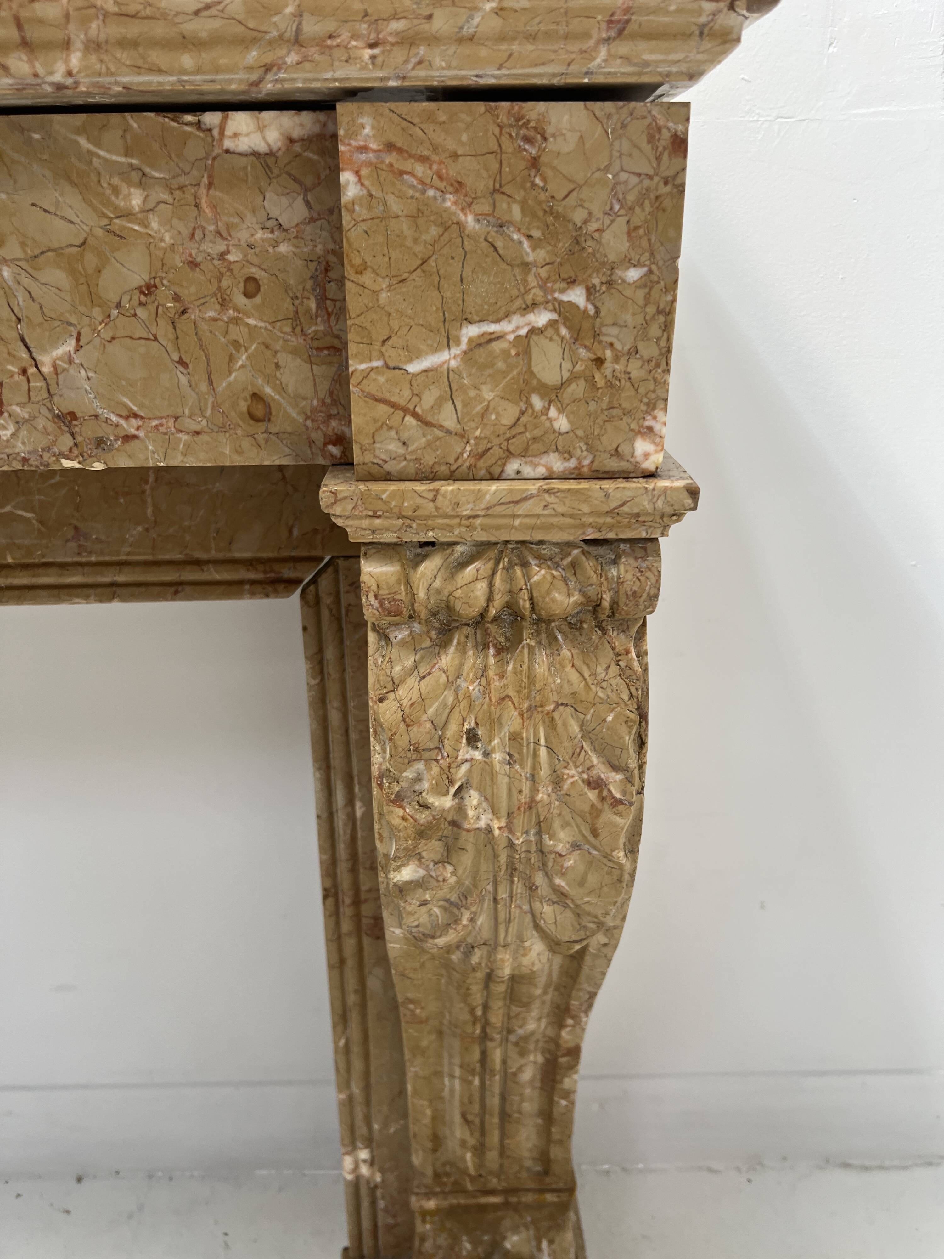 Napoleon III fireplace with claw feet in speckled marble, 19th century.