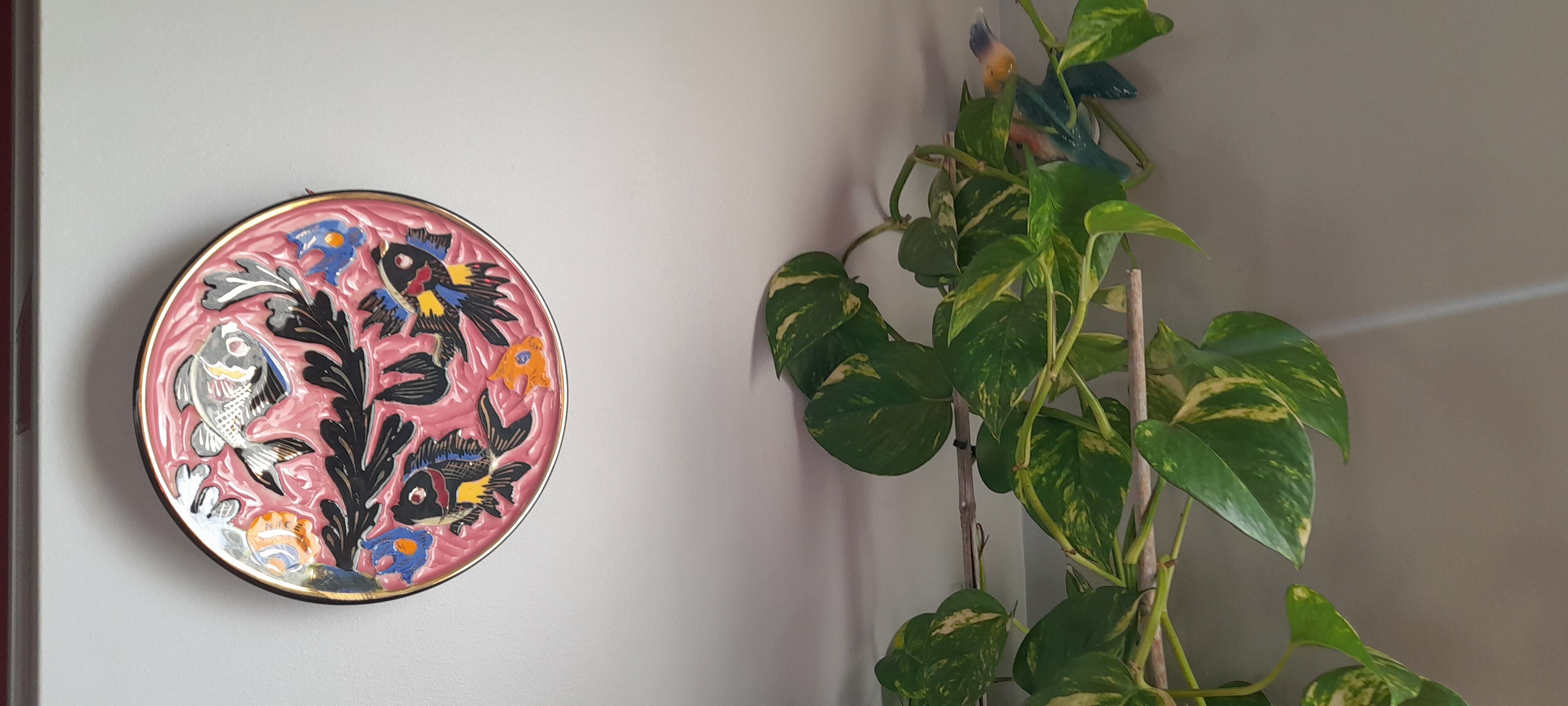 Fish plate Cerdazur 60s