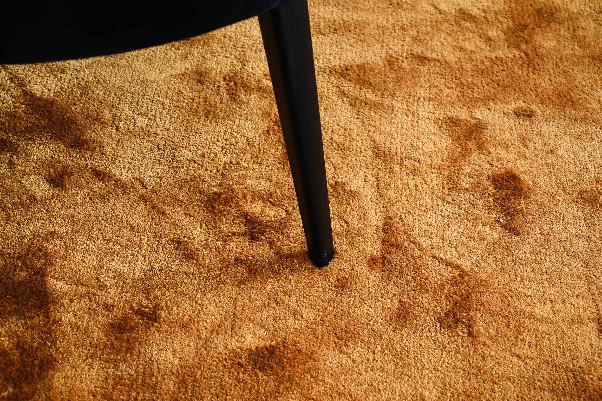 Set of 8 Febo dining chairs designed by Antonio Citterio in 2008 for Maxalto