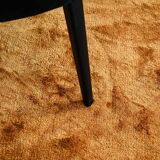 Set of 8 Febo dining chairs designed by Antonio Citterio in 2008 for Maxalto