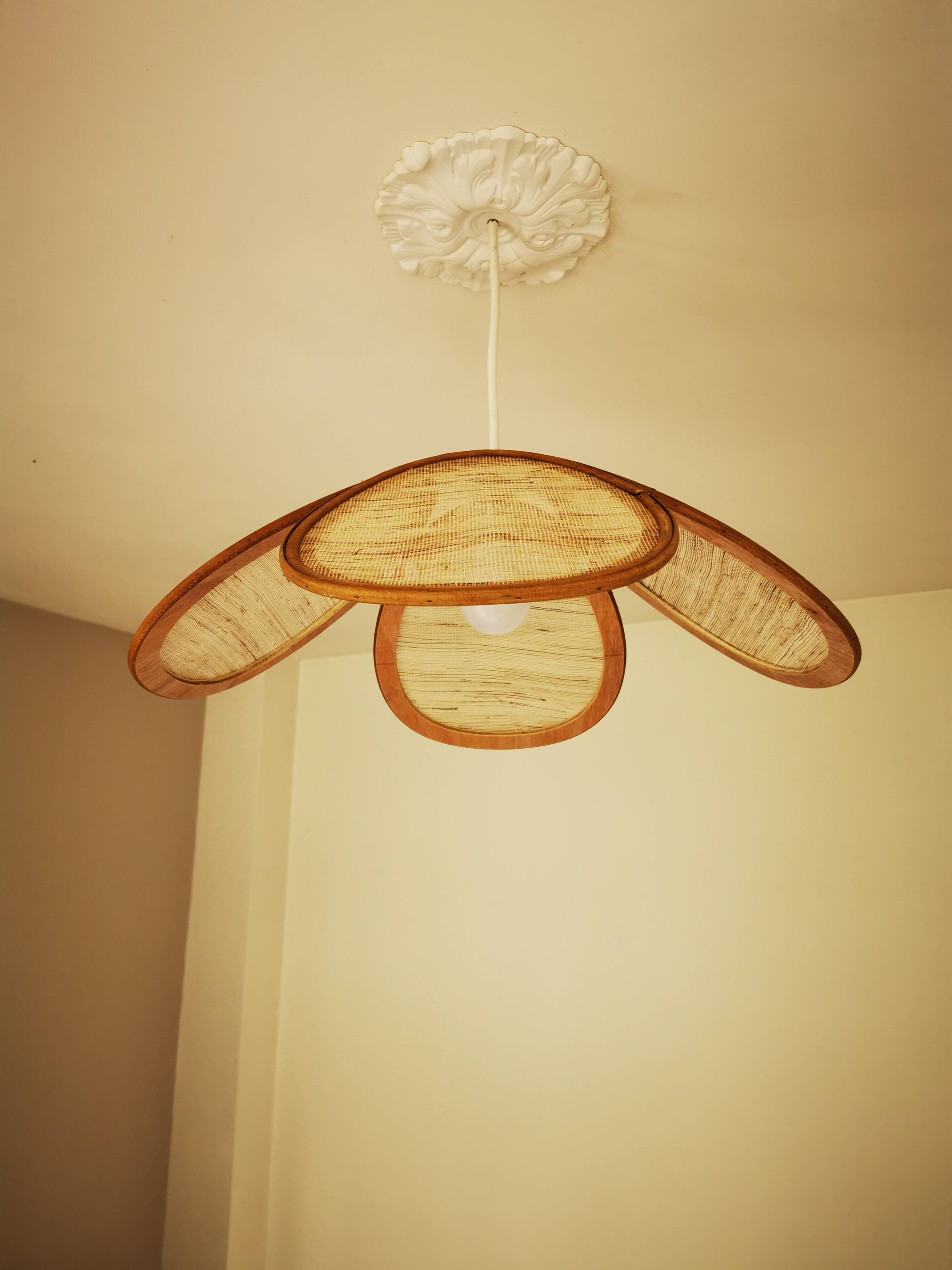 Suspension canvas and bamboo