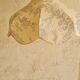 Vintage suspension in toile de jouy