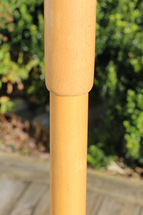 Baumann parrot coat rack simple clear