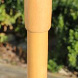 Baumann parrot coat rack simple clear