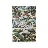 Authentic old reptile animal plank