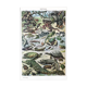 Authentic old reptile animal plank