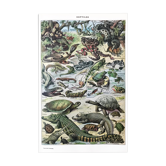 Authentic old reptile animal plank