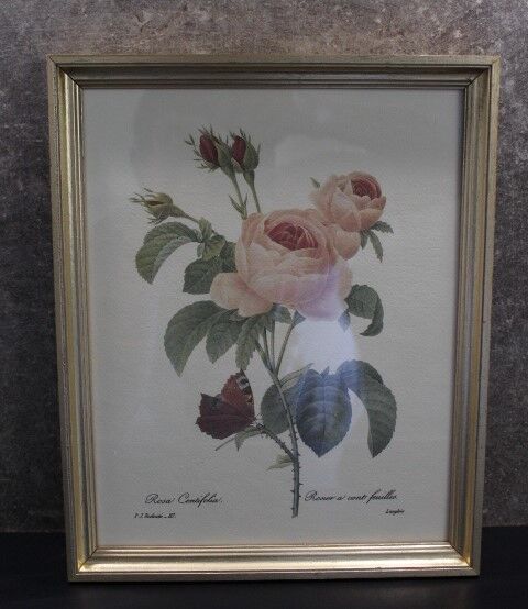 Botanical board framed PJ Dreaded