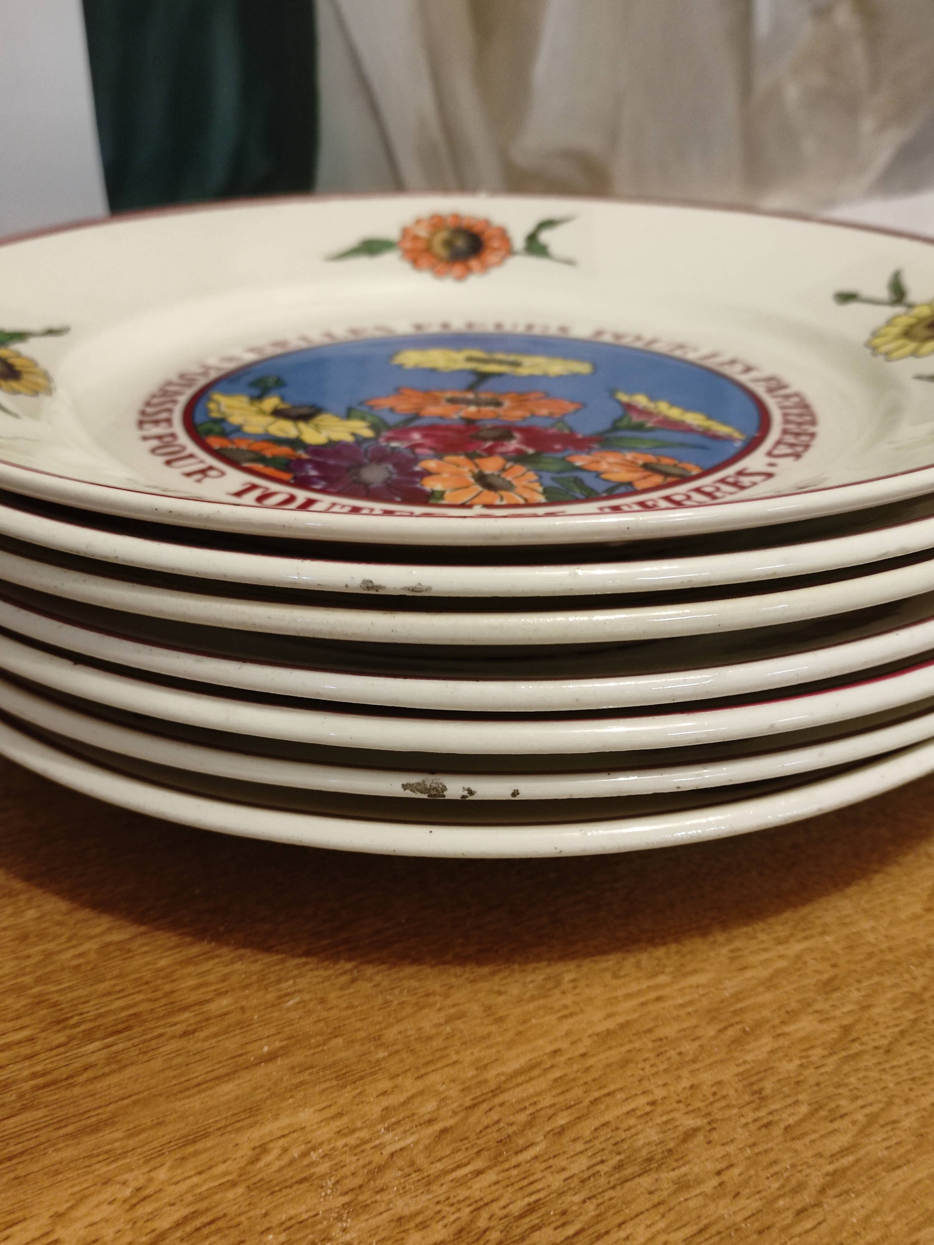 Lunéville 7 flat plates Potash by Hansi