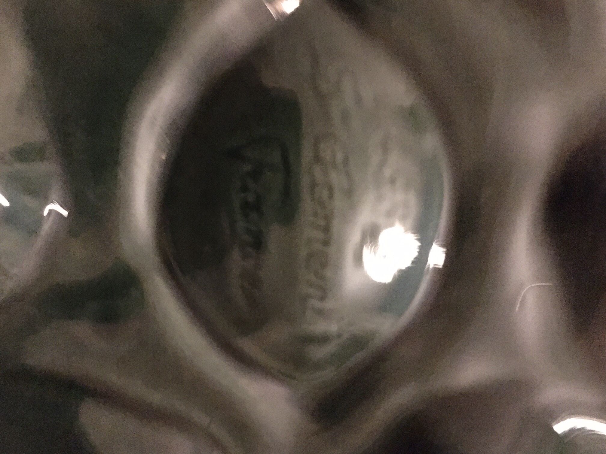 6 oyster plates from the St Clément manufacture