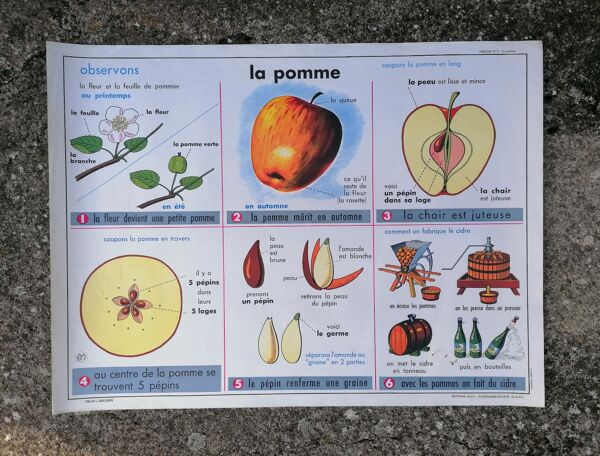 Ancienne affiche MDI ''Les feuilles-La pomme''.