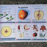 Old MDI poster "The leaves-The apple".