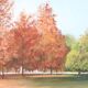 Autumn Landscape, Oil On Canvas Cardboard, Italy 20th Century