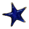 Blue and golden star