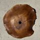 Very large wavy flat leaf suspension in teak with flower stripes D:60