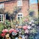 Oil on English house wood