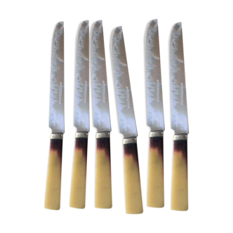 Lot 6 couteaux à fromages lame en acier