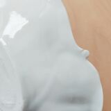 Fragly porcelain dish flowered décor flowers