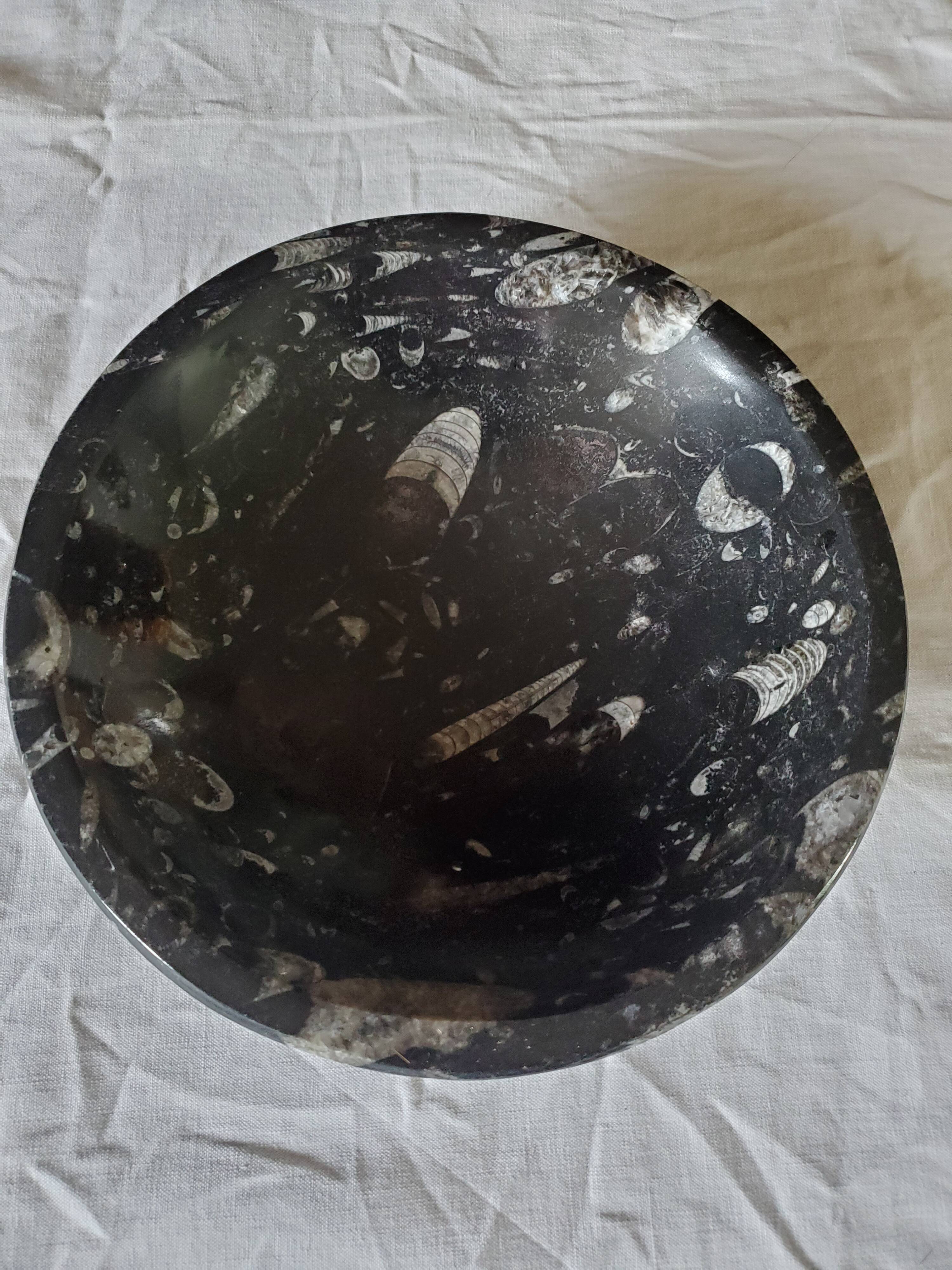Fossilized marble cup