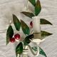 Pair of cherry metal wall lights, white and green, vintage 1970s.